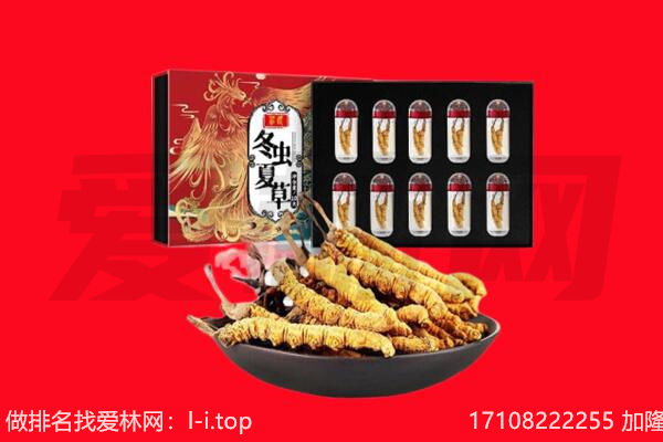 驻马店市驿城回收虫草.jpg